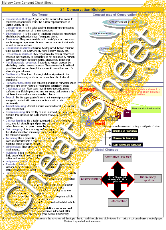sabcuporsclin - review sheet physiology